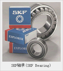 SKFS(SKF Bearing)