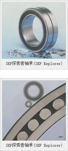 SKF̽S(SKF Explorer)